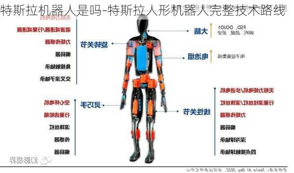 特斯拉机器人是吗-特斯拉人形机器人完整技术路线