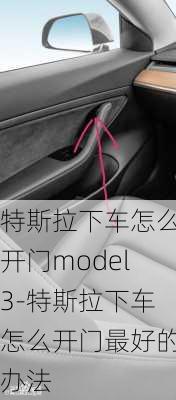 特斯拉下车怎么开门model3-特斯拉下车怎么开门最好的办法