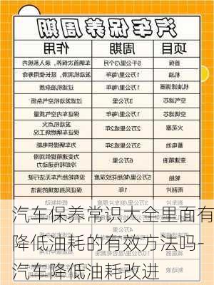 汽车保养常识大全里面有降低油耗的有效方法吗-汽车降低油耗改进