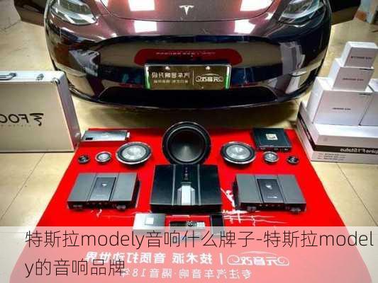 特斯拉modely音响什么牌子-特斯拉model y的音响品牌