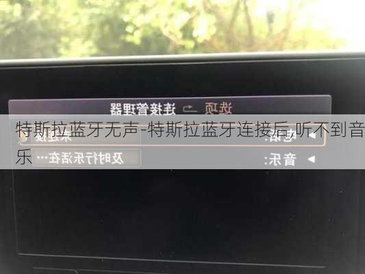 特斯拉蓝牙无声-特斯拉蓝牙连接后,听不到音乐