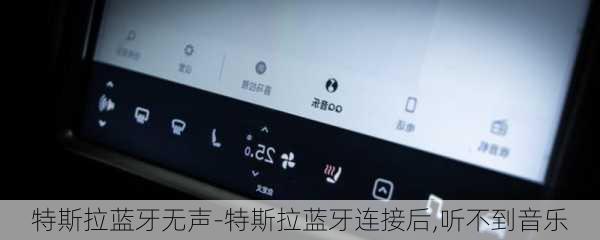 特斯拉蓝牙无声-特斯拉蓝牙连接后,听不到音乐