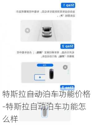 特斯拉自动泊车功能价格-特斯拉自动泊车功能怎么样