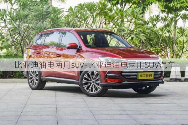 比亚迪油电两用suv-比亚迪油电两用SUV汽车