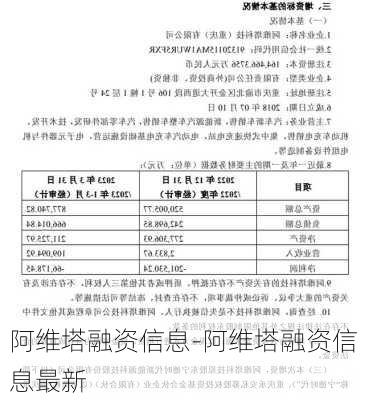 阿维塔融资信息-阿维塔融资信息最新