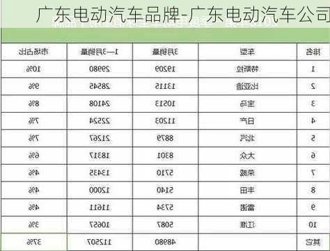 广东电动汽车品牌-广东电动汽车公司