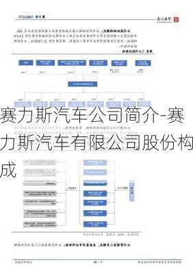 赛力斯汽车公司简介-赛力斯汽车有限公司股份构成