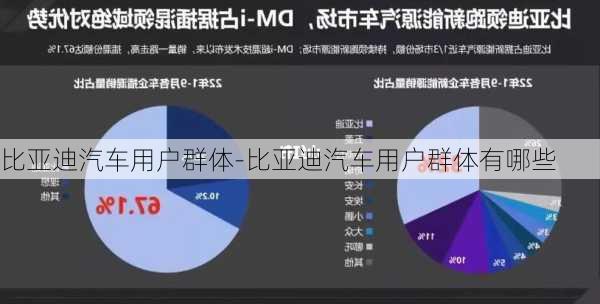 比亚迪汽车用户群体-比亚迪汽车用户群体有哪些