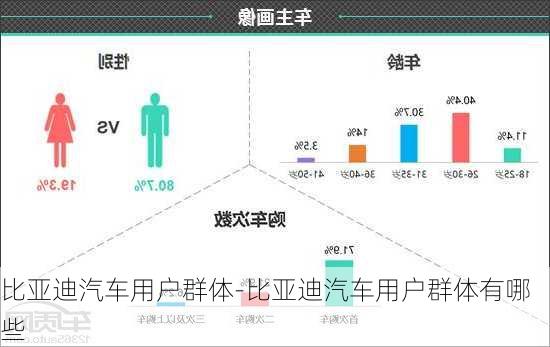 比亚迪汽车用户群体-比亚迪汽车用户群体有哪些