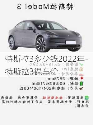 特斯拉3多少钱2022年-特斯拉3裸车价