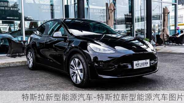 特斯拉新型能源汽车-特斯拉新型能源汽车图片