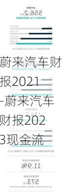 蔚来汽车财报2021-蔚来汽车财报2023现金流