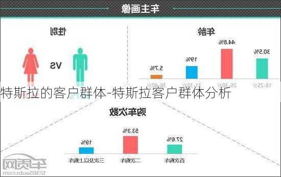 特斯拉的客户群体-特斯拉客户群体分析