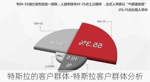 特斯拉的客户群体-特斯拉客户群体分析