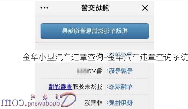 金华小型汽车违章查询-金华汽车违章查询系统