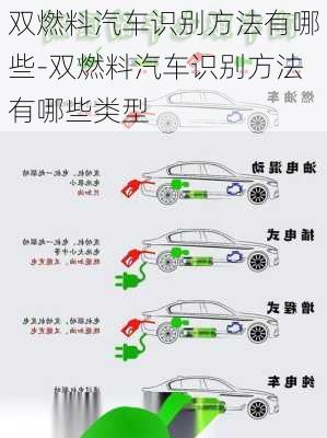 双燃料汽车识别方法有哪些-双燃料汽车识别方法有哪些类型