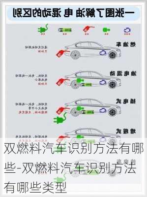 双燃料汽车识别方法有哪些-双燃料汽车识别方法有哪些类型