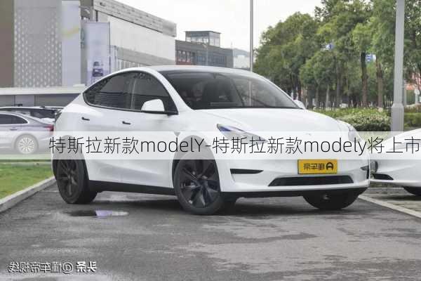 特斯拉新款modelY-特斯拉新款modely将上市