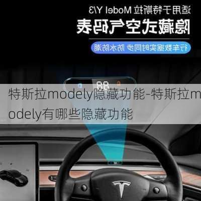 特斯拉modely隐藏功能-特斯拉modely有哪些隐藏功能