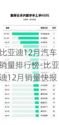 比亚迪12月汽车销量排行榜-比亚迪12月销量快报