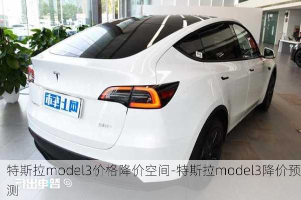 特斯拉model3价格降价空间-特斯拉model3降价预测