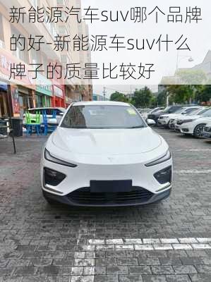 新能源汽车suv哪个品牌的好-新能源车suv什么牌子的质量比较好