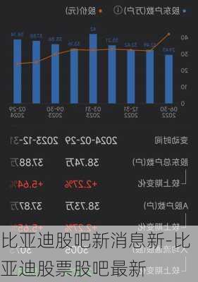 比亚迪股吧新消息新-比亚迪股票股吧最新