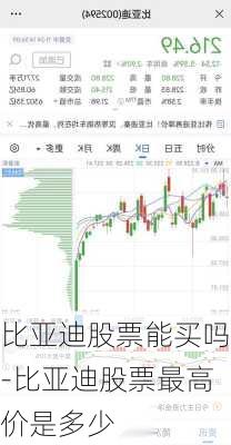 比亚迪股票能买吗-比亚迪股票最高价是多少