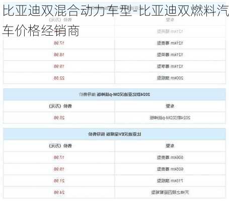 比亚迪双混合动力车型-比亚迪双燃料汽车价格经销商