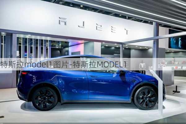 特斯拉model1图片-特斯拉MODEL1