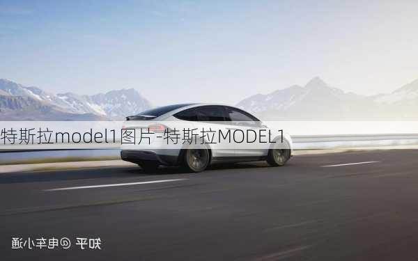 特斯拉model1图片-特斯拉MODEL1