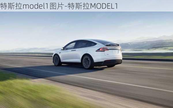 特斯拉model1图片-特斯拉MODEL1