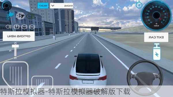 特斯拉模拟器-特斯拉模拟器破解版下载