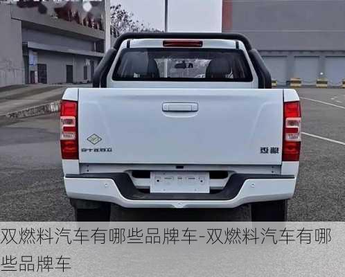 双燃料汽车有哪些品牌车-双燃料汽车有哪些品牌车