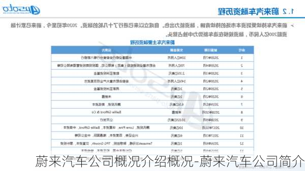 蔚来汽车公司概况介绍概况-蔚来汽车公司简介