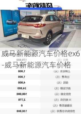 威马新能源汽车价格ex6-威马新能源汽车价格