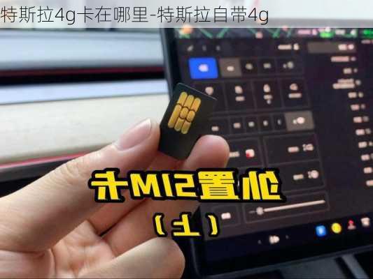 特斯拉4g卡在哪里-特斯拉自带4g