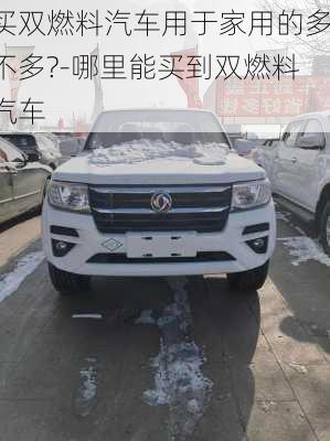 买双燃料汽车用于家用的多不多?-哪里能买到双燃料汽车