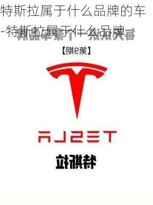 特斯拉属于什么品牌的车-特斯拉属于什么品牌