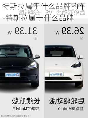 特斯拉属于什么品牌的车-特斯拉属于什么品牌