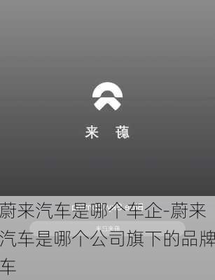 蔚来汽车是哪个车企-蔚来汽车是哪个公司旗下的品牌车