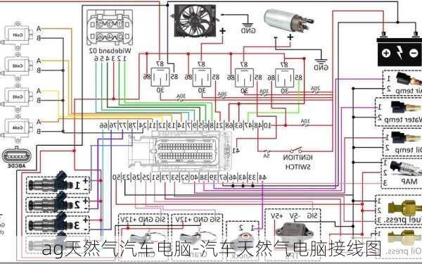 ag天然气汽车电脑-汽车天然气电脑接线图