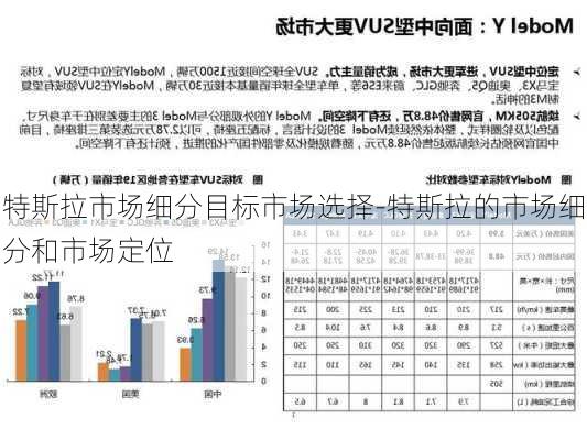 特斯拉市场细分目标市场选择-特斯拉的市场细分和市场定位