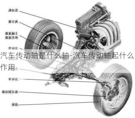 汽车传动轴是什么轴-汽车传动轴起什么作用