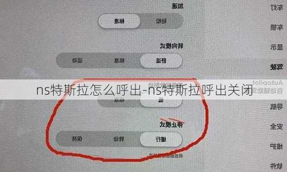 ns特斯拉怎么呼出-ns特斯拉呼出关闭