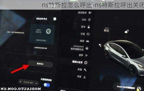 ns特斯拉怎么呼出-ns特斯拉呼出关闭