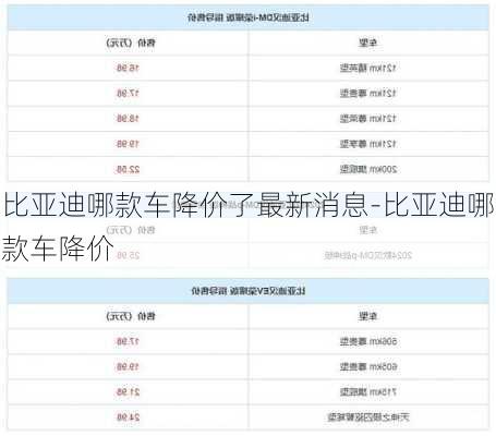 比亚迪哪款车降价了最新消息-比亚迪哪款车降价