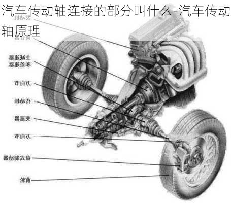 汽车传动轴连接的部分叫什么-汽车传动轴原理