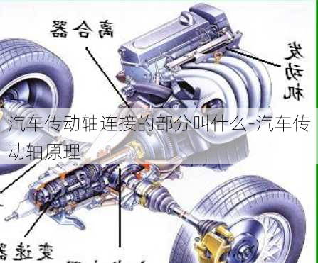 汽车传动轴连接的部分叫什么-汽车传动轴原理