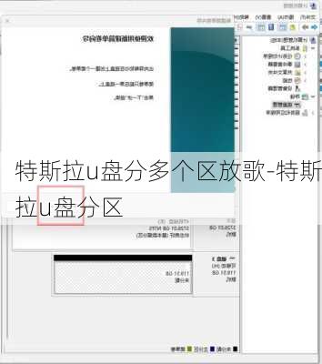 特斯拉u盘分多个区放歌-特斯拉u盘分区